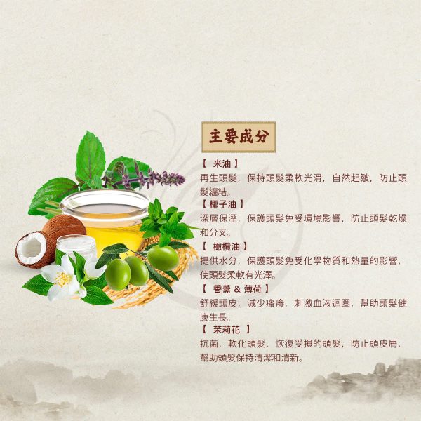 MERAKI橘子-柚子精華洗髮精：圖片 3